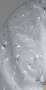 White Eyelet fabric
